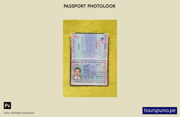 listo para imprimir la plantilla de presentación fotográfica del pasaporte de Re